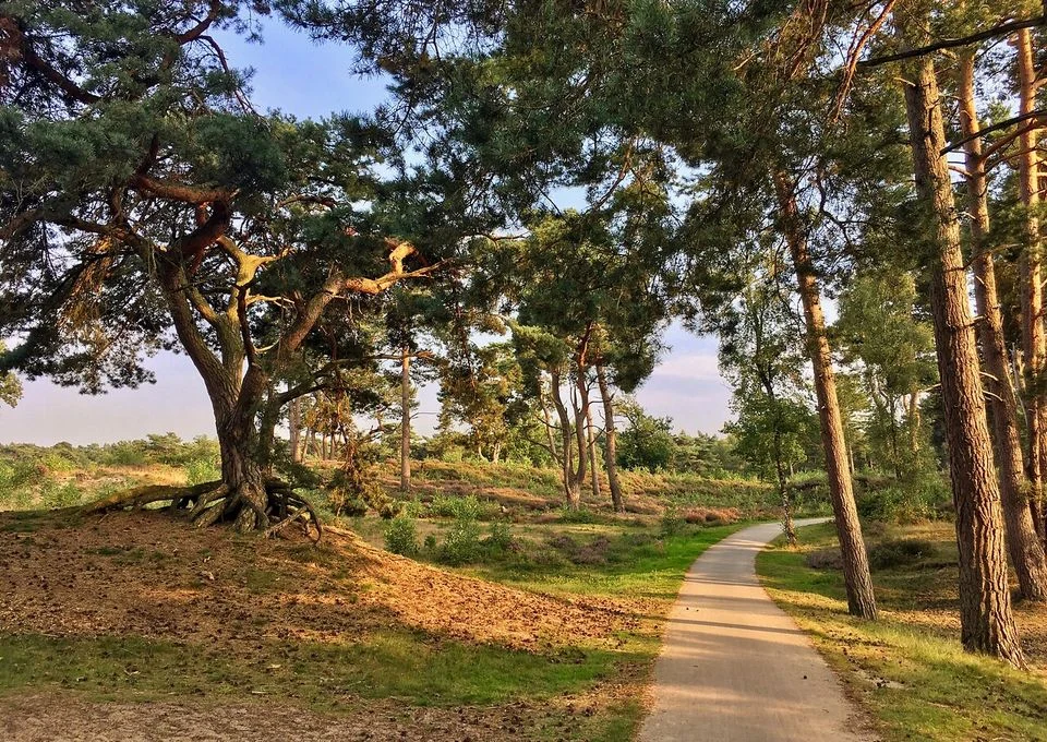 Eerste vergunningaanvraag ingediend voor zandwinning Bosscherwaarden