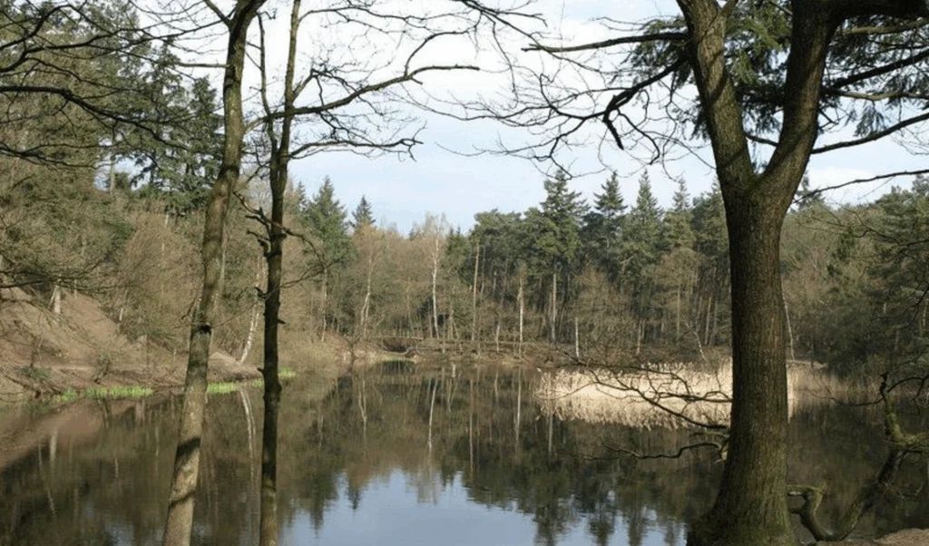 Informatieavond Bosscherwaarden druk bezocht
